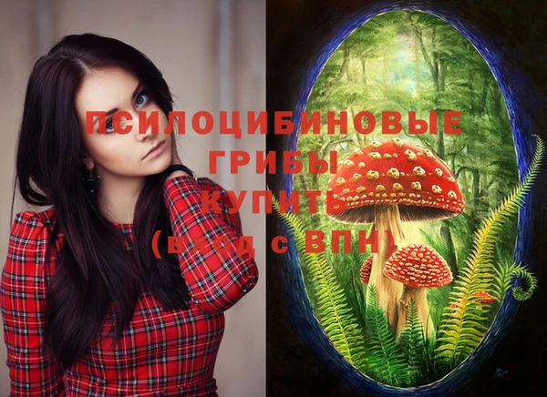 2c-b Сафоново