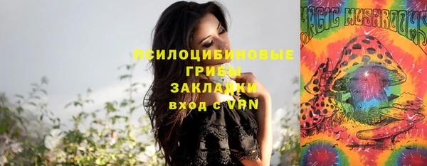 2c-b Алзамай