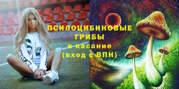 apvp Саяногорск