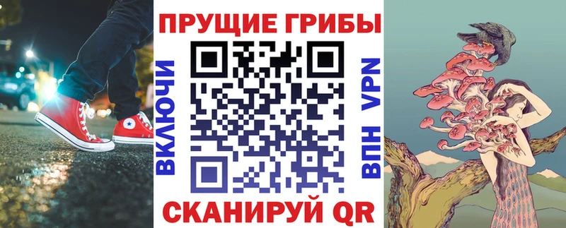 Псилоцибиновые грибы GOLDEN TEACHER  мега tor  Кондопога 