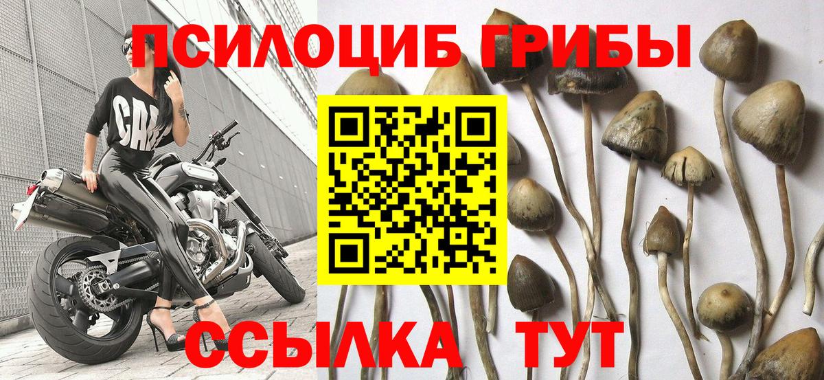 Галлюциногенные грибы мухоморы  Вход с VPN  цена   Кондопога 