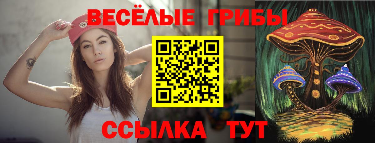Псилоцибиновые грибы мицелий Кондопога